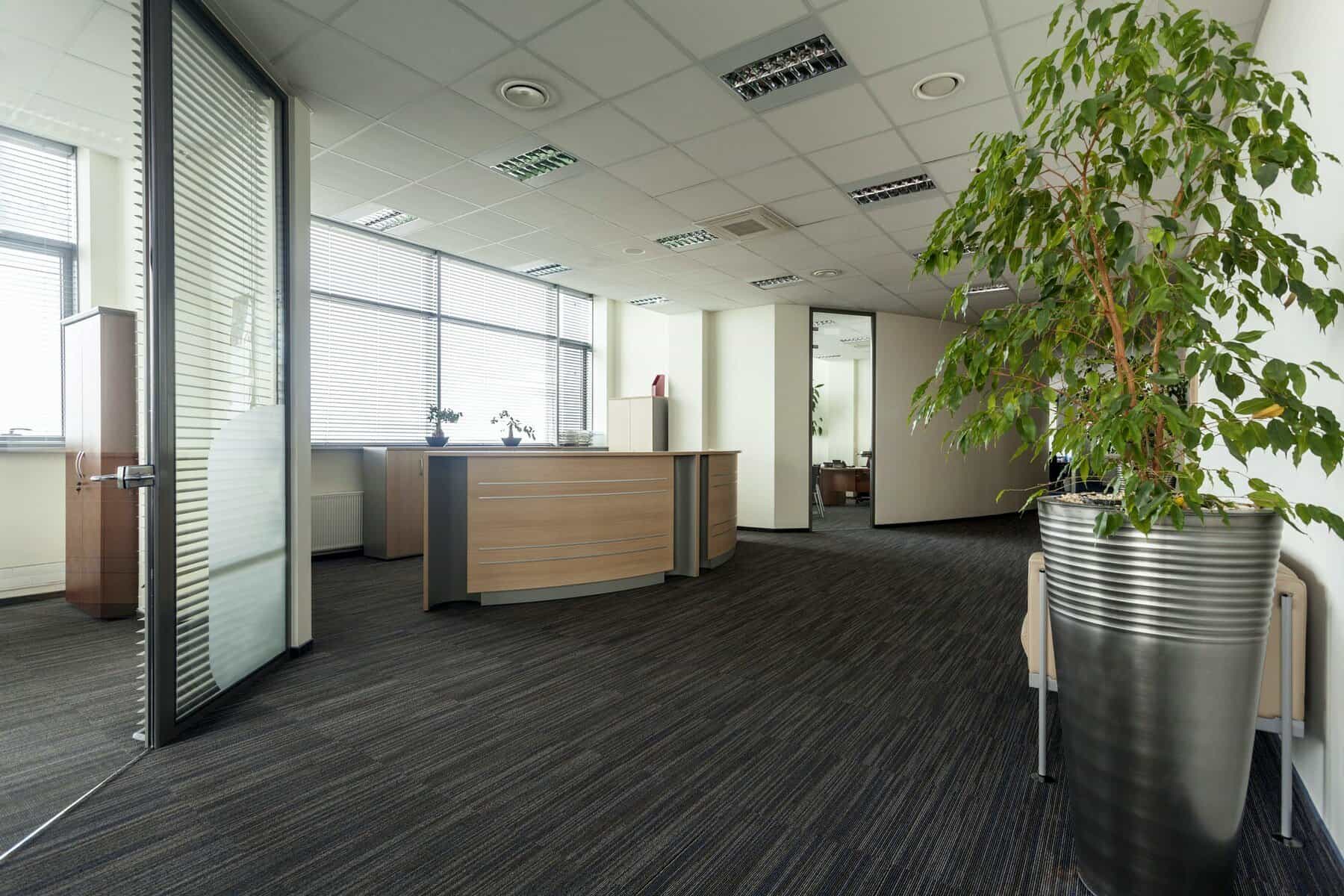 Commercial Interior Painters Commercial Interior Painters - paint finish